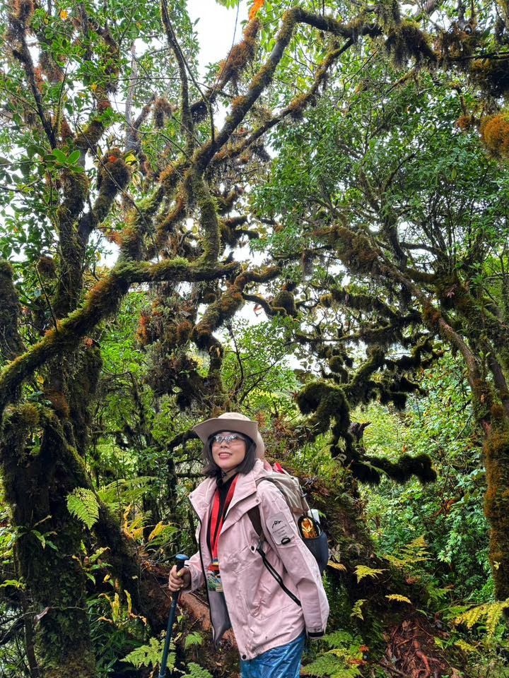 Tận thấy rừng r&ecirc;u b&iacute; ẩn 'bao v&acirc;y' du kh&aacute;ch ở độ cao 2.800m- Ảnh 12.