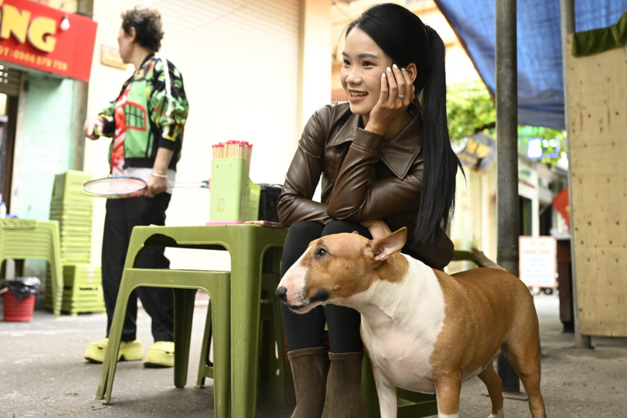 Cam thường bắt cận "thần thái" chú chó giống hệt Cậu Vàng (Mr. Gold) ngoài đời- Ảnh 9.