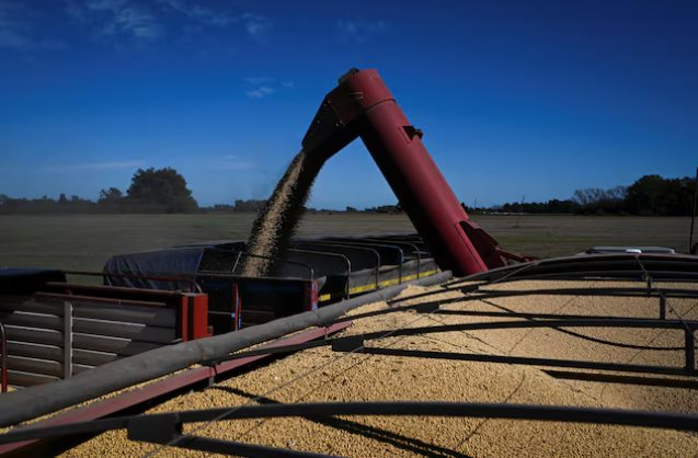 Trung Quốc tạm dừng mức thuế 24%, đậu tương của Mỹ vẫn đánh mất lợi thế vào tay một ông trùm nông sản: Là nhà cung cấp lớn nhất của Việt Nam nhiều năm qua- Ảnh 1.