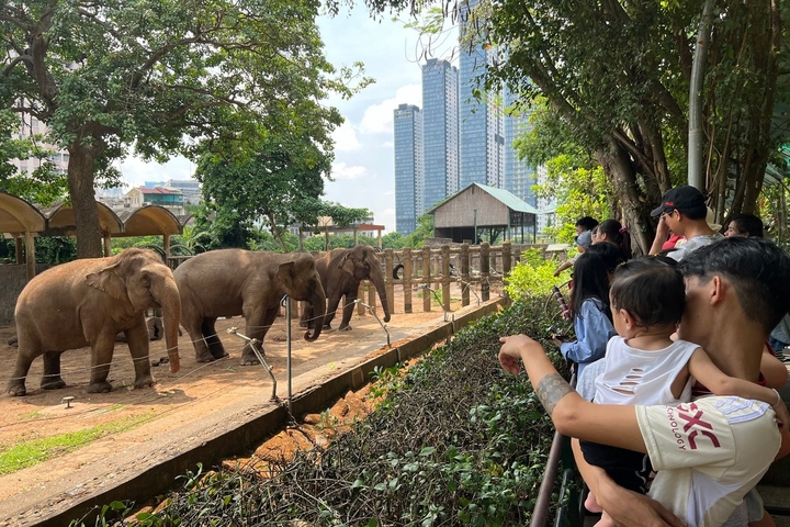 Thảo Cầm Viên Sài Gòn bỏ túi 450 triệu đồng/ngày - Ảnh 1.