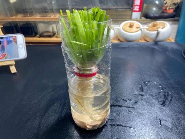 Nhiều người sai lầm khi bảo quản rau mùi trong tủ lạnh: Đầu bếp nhà hàng hướng dẫn 1 mẹo giữ rau mùi tươi lâu- Ảnh 6. Nhiều người sai lầm khi bảo quản rau mùi trong tủ lạnh: Đầu bếp nhà hàng hướng dẫn 1 mẹo giữ rau mùi tươi lâu- Ảnh 6.