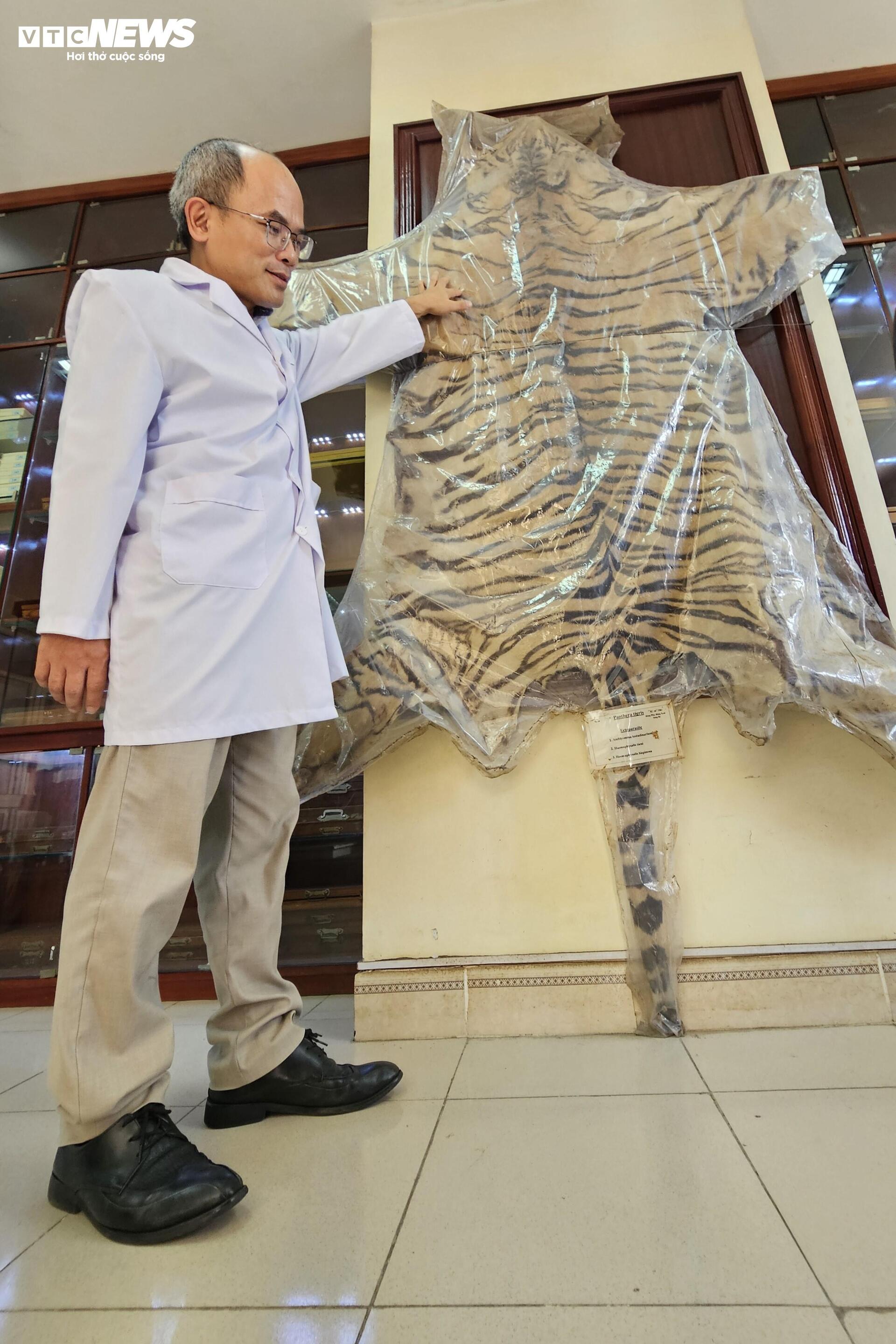 Bên Trong Bảo Tàng Lưu Giữ Những 'Kẻ Ký Sinh' Nguy Hiểm Nhất Với Con Người- Ảnh 12.