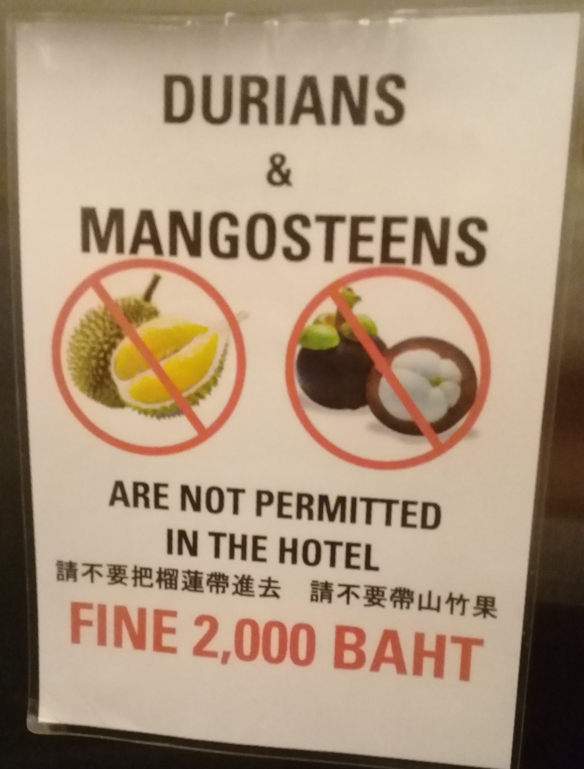 Vào khách sạn, du khách bất ngờ với quy định được dán trong phòng: Vì sao lại cấm loại quả này?- Ảnh 4. Vào khách sạn, du khách bất ngờ với quy định được dán trong phòng: Vì sao lại cấm loại quả này?- Ảnh 4.