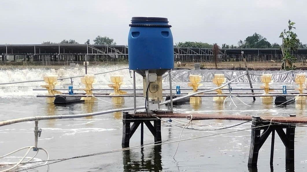 Phát hiện chồng và con nuôi tử vong dưới ao tôm- Ảnh 1.