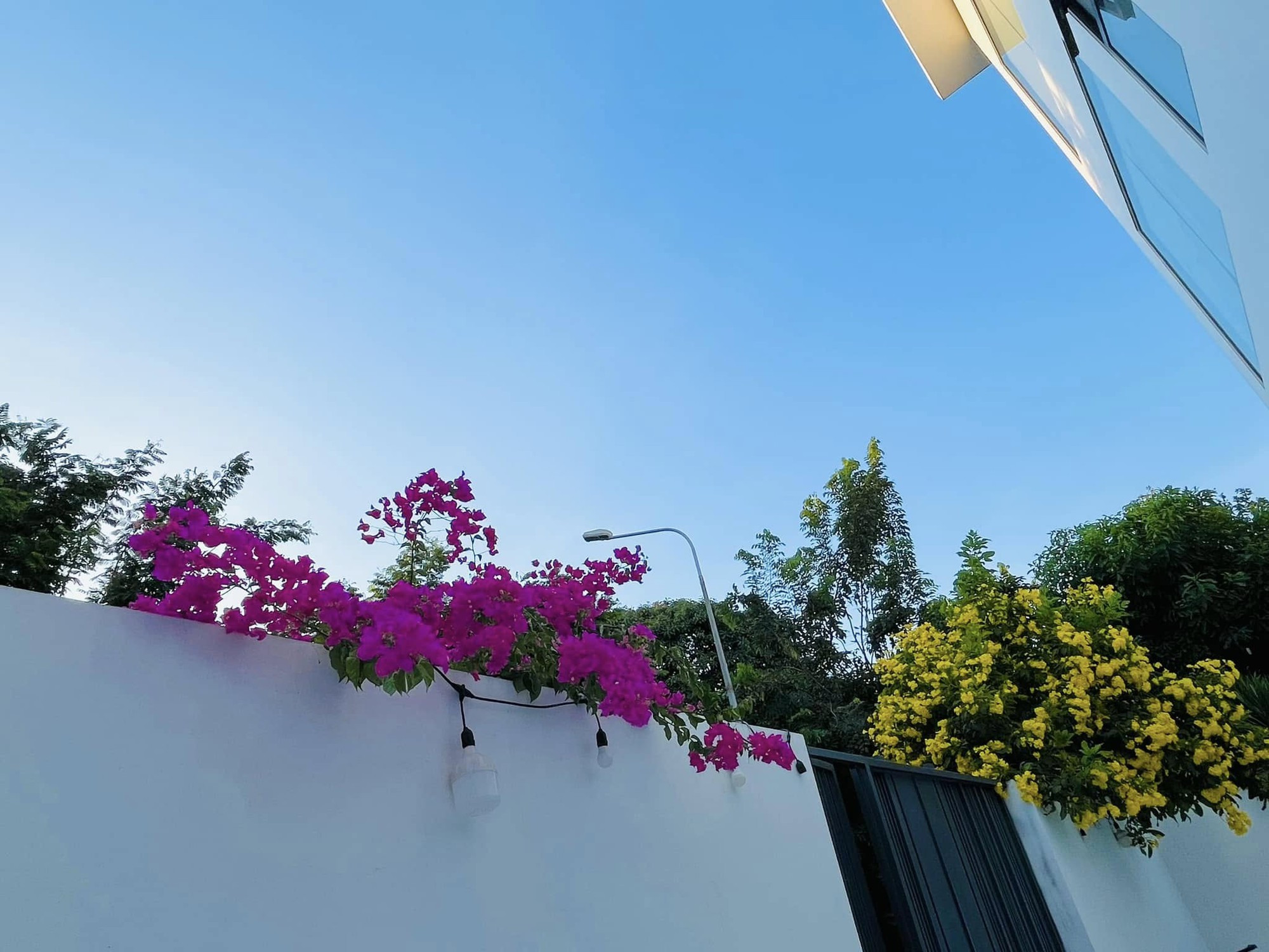 Bạch dinh 22 tỷ rộng 1000m² của Công Vinh - Thuỷ Tiên- Ảnh 4. Bạch dinh 22 tỷ rộng 1000m² của Công Vinh - Thuỷ Tiên- Ảnh 4.