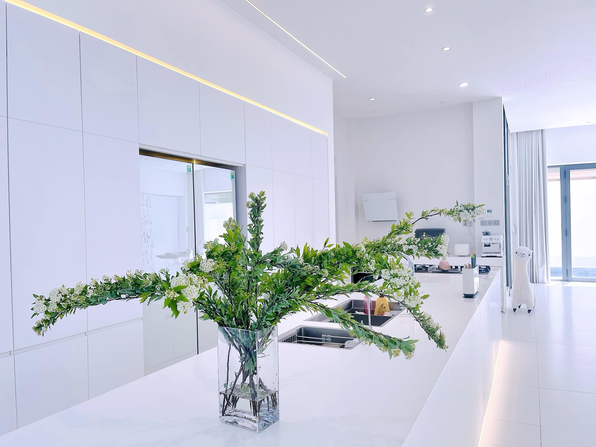 Bạch dinh 22 tỷ rộng 1000m² của Công Vinh - Thuỷ Tiên- Ảnh 11. Bạch dinh 22 tỷ rộng 1000m² của Công Vinh - Thuỷ Tiên- Ảnh 11.