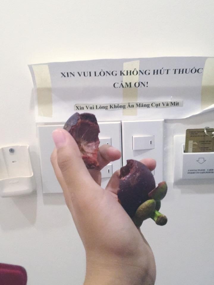 Vào khách sạn, du khách bất ngờ với quy định được dán trong phòng: Vì sao lại cấm loại quả này?- Ảnh 1. Vào khách sạn, du khách bất ngờ với quy định được dán trong phòng: Vì sao lại cấm loại quả này?- Ảnh 1.