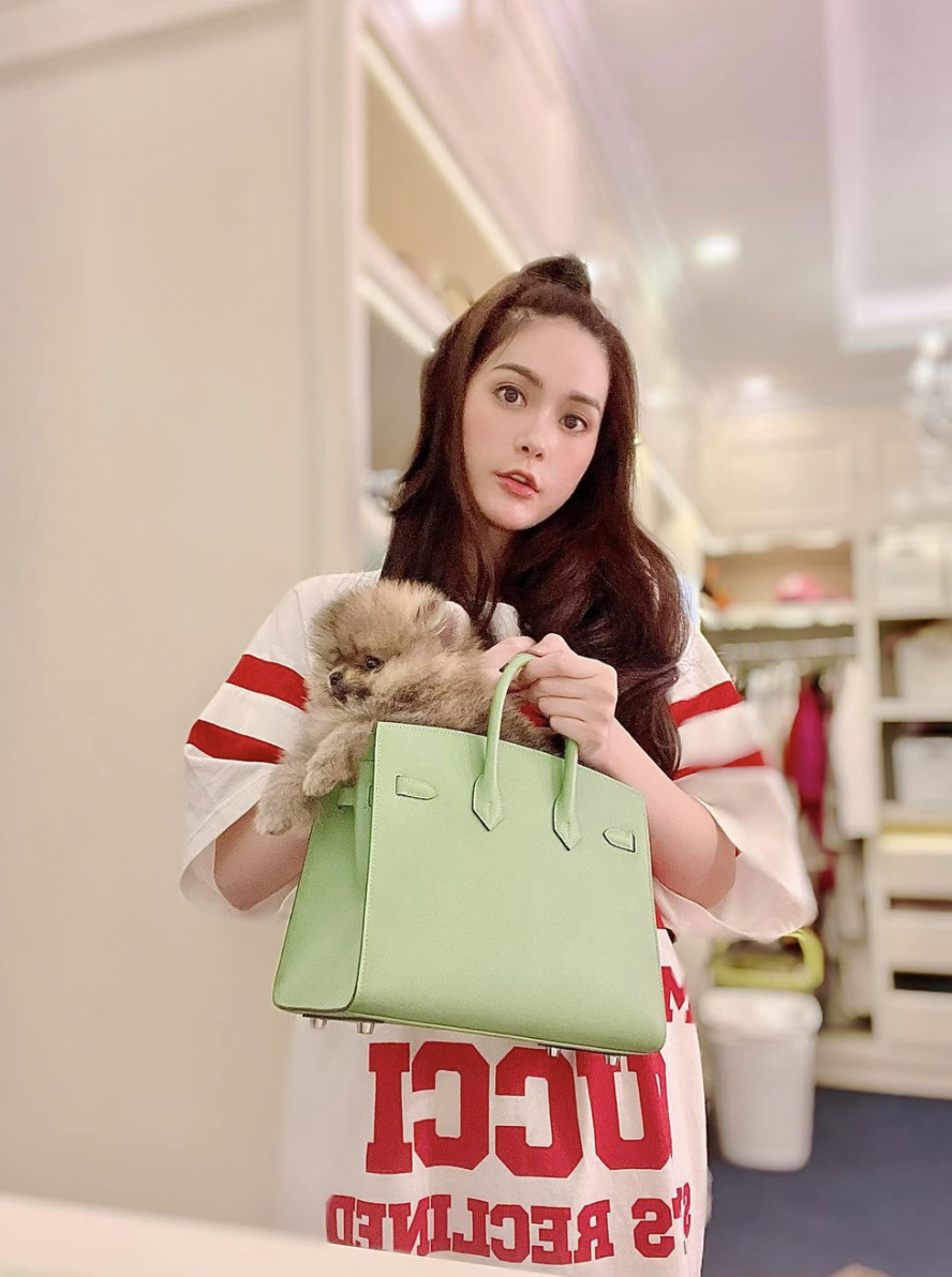 BST túi hàng hiệu của Đoàn Di Băng: Hermès đựng cún cưng, Dior và Chanel để đi chợ- Ảnh 16.
