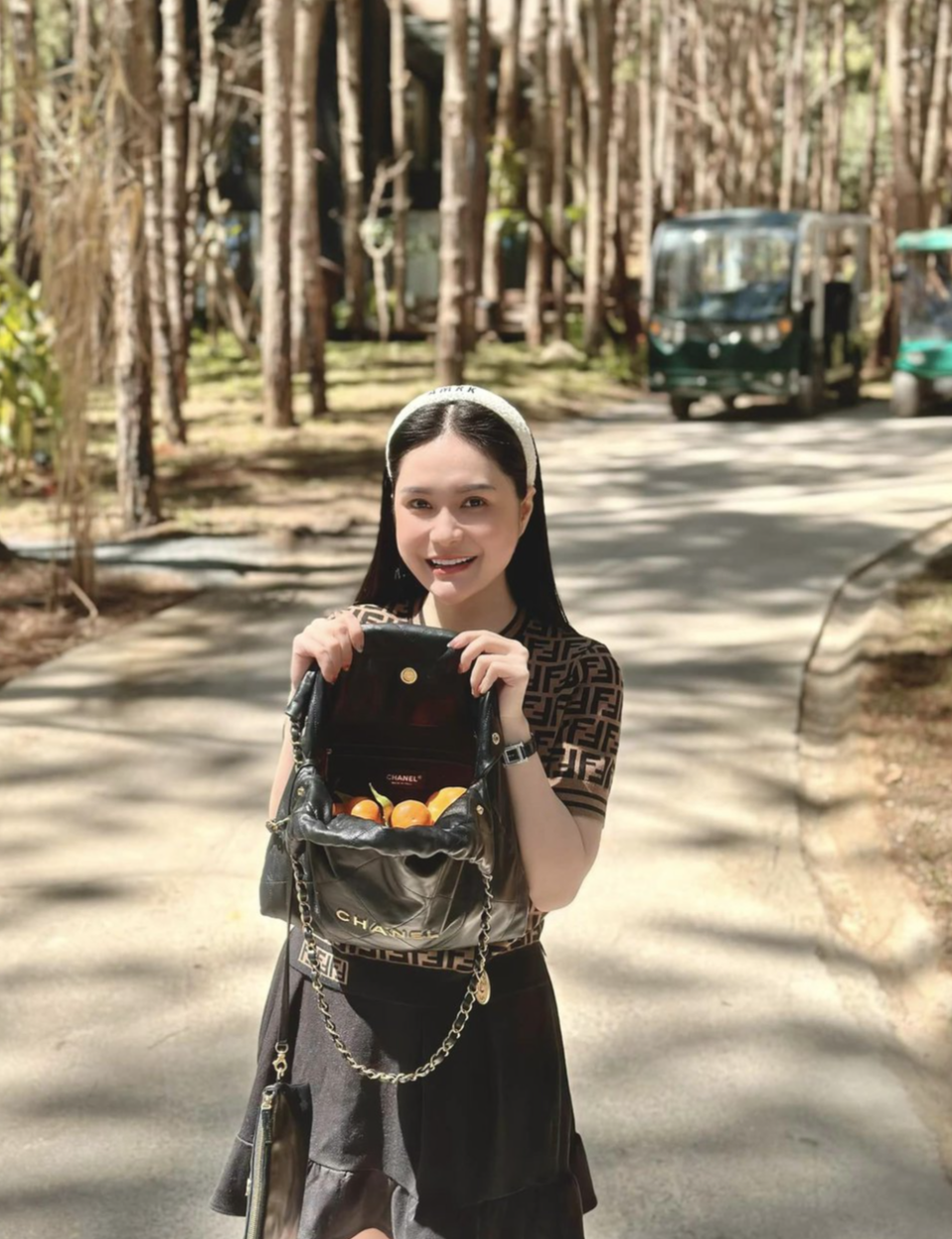 BST túi hàng hiệu của Đoàn Di Băng: Hermès đựng cún cưng, Dior và Chanel để đi chợ- Ảnh 34.