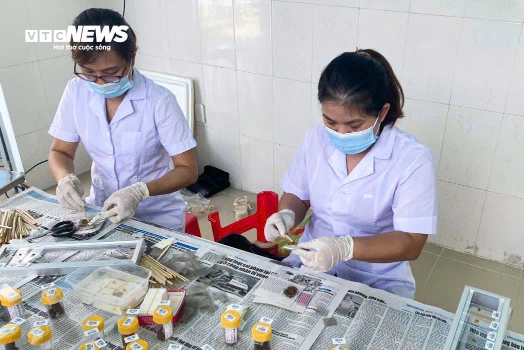 Bên Trong Bảo Tàng Lưu Giữ Những 'Kẻ Ký Sinh' Nguy Hiểm Nhất Với Con Người- Ảnh 10.