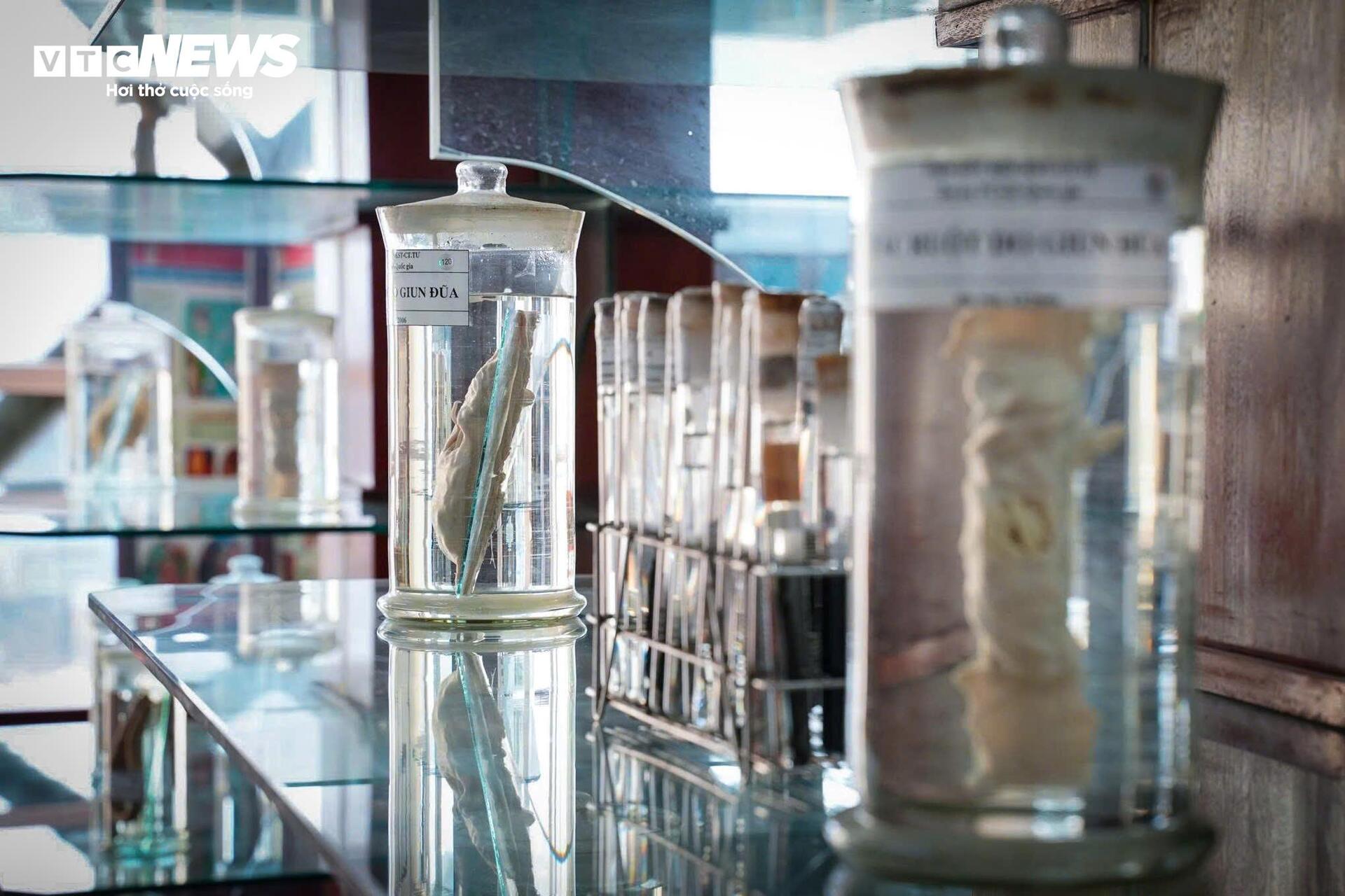 Bên Trong Bảo Tàng Lưu Giữ Những 'Kẻ Ký Sinh' Nguy Hiểm Nhất Với Con Người- Ảnh 11.