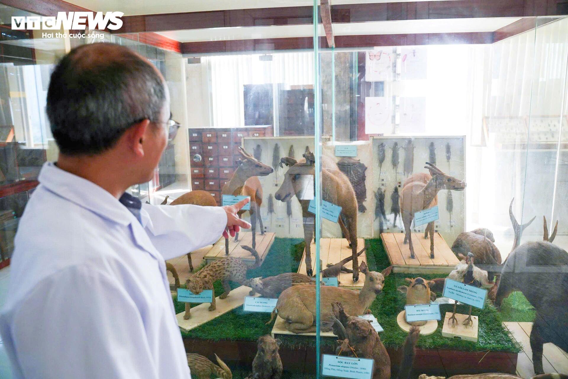 Bên Trong Bảo Tàng Lưu Giữ Những 'Kẻ Ký Sinh' Nguy Hiểm Nhất Với Con Người- Ảnh 13.