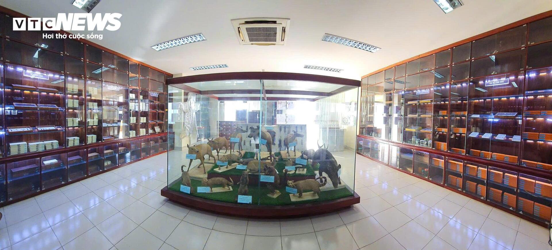 Bên Trong Bảo Tàng Lưu Giữ Những 'Kẻ Ký Sinh' Nguy Hiểm Nhất Với Con Người- Ảnh 1.