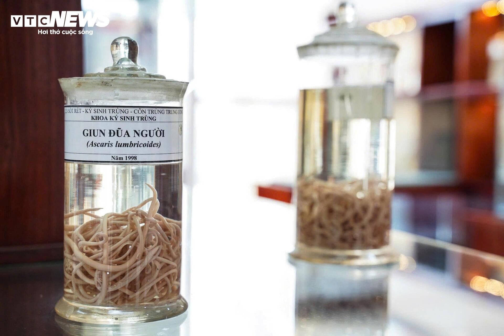 Bên Trong Bảo Tàng Lưu Giữ Những 'Kẻ Ký Sinh' Nguy Hiểm Nhất Với Con Người- Ảnh 3.