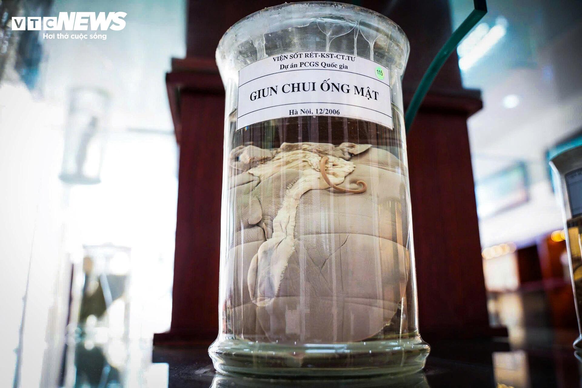 Bên Trong Bảo Tàng Lưu Giữ Những 'Kẻ Ký Sinh' Nguy Hiểm Nhất Với Con Người- Ảnh 4.