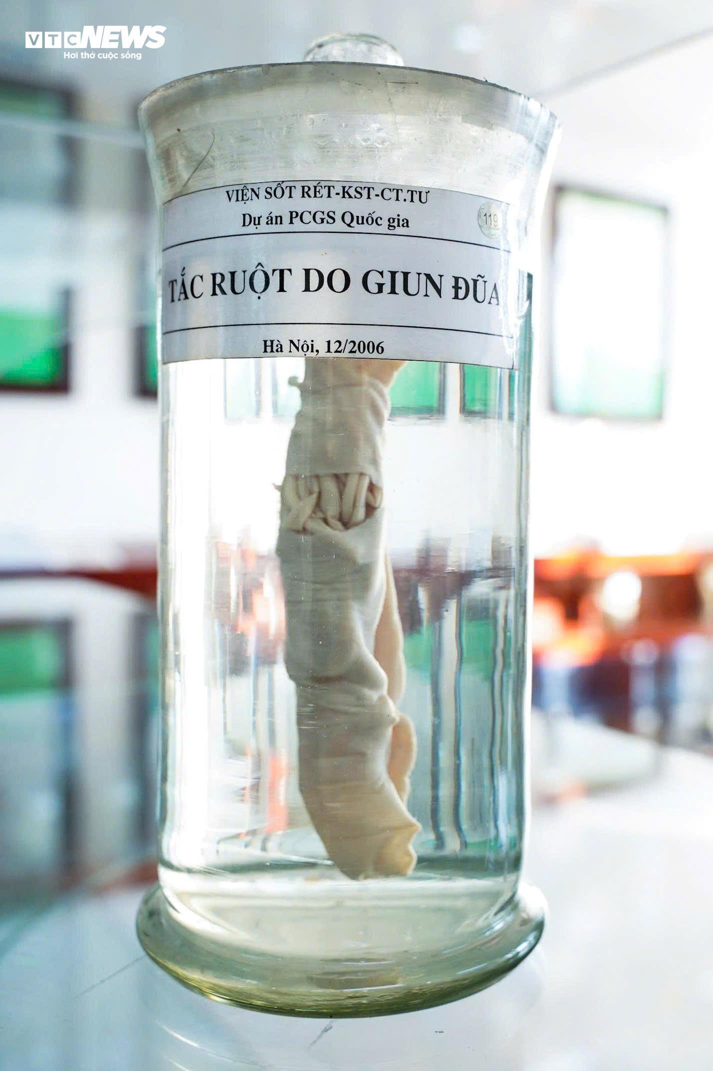 Bên Trong Bảo Tàng Lưu Giữ Những 'Kẻ Ký Sinh' Nguy Hiểm Nhất Với Con Người- Ảnh 5.