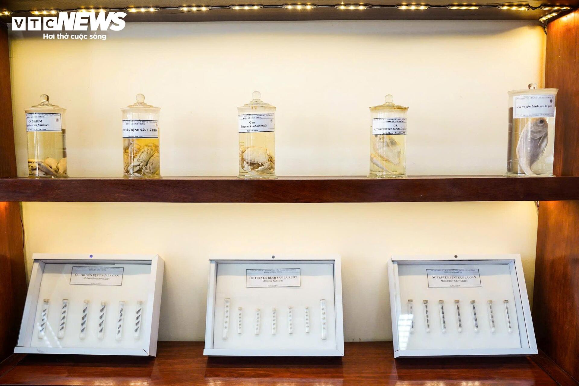 Bên Trong Bảo Tàng Lưu Giữ Những 'Kẻ Ký Sinh' Nguy Hiểm Nhất Với Con Người- Ảnh 8.