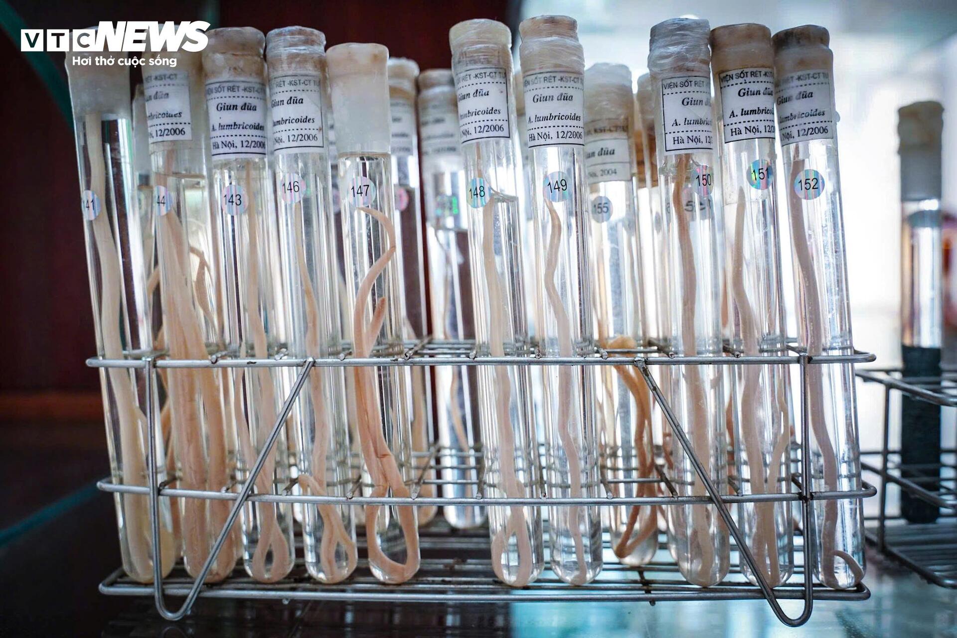 Bên Trong Bảo Tàng Lưu Giữ Những 'Kẻ Ký Sinh' Nguy Hiểm Nhất Với Con Người- Ảnh 9.