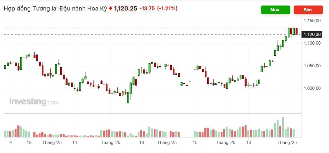 Trung Quốc dỡ bỏ một phần thuế trả đũa đối với nông sản Mỹ, nhưng vẫn giữ thuế 13% với đậu tương- Ảnh 5.