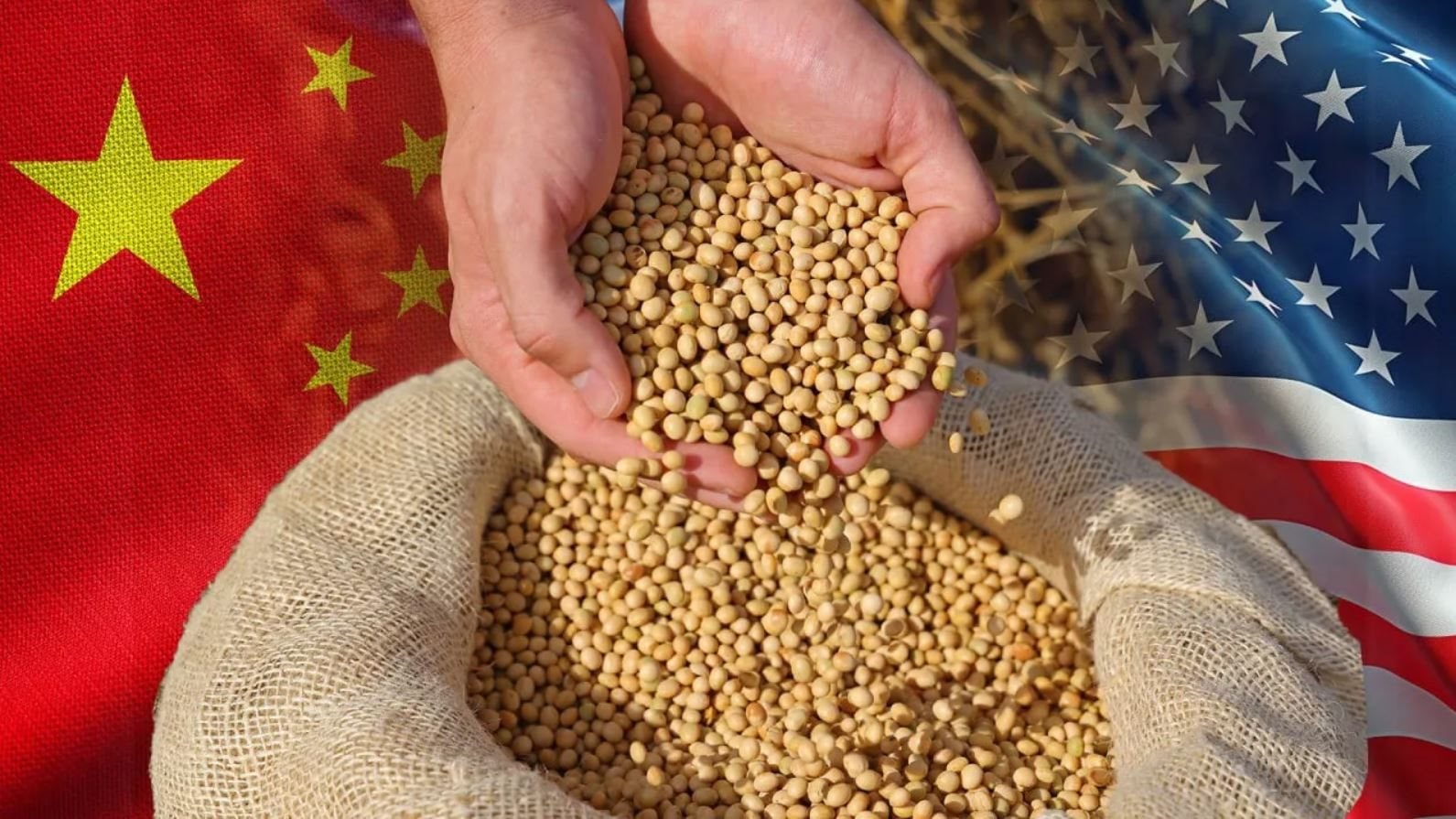 Trung Quốc dỡ bỏ một phần thuế trả đũa đối với nông sản Mỹ, nhưng vẫn giữ thuế 13% với đậu tương- Ảnh 1.