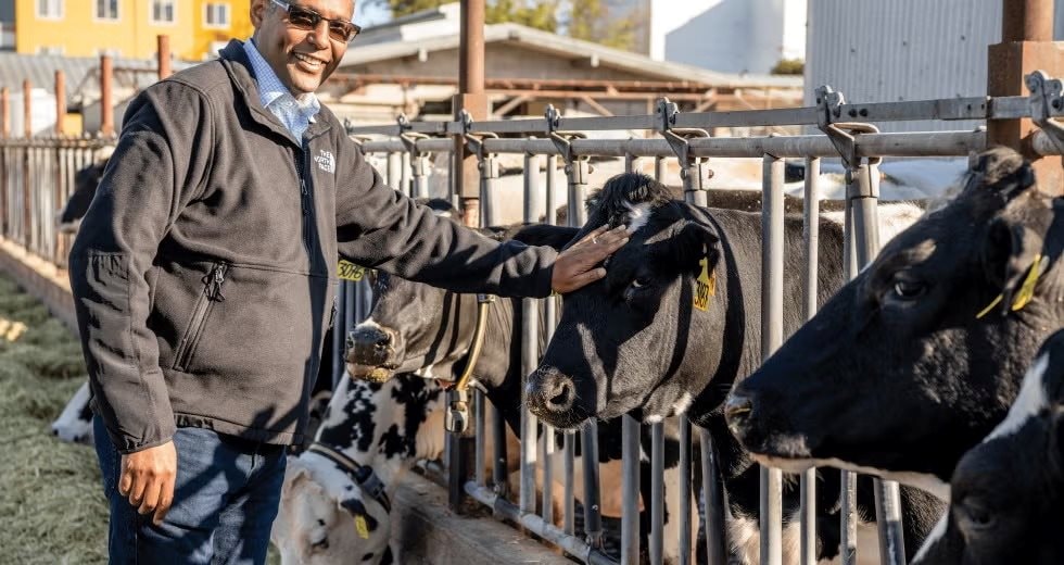 GS Mỹ "hiến kế" giúp VN có thể chinh phục ngành kinh tế hơn 3.000 tỷ USD, tạo ra hàng triệu việc làm - Ảnh 6.