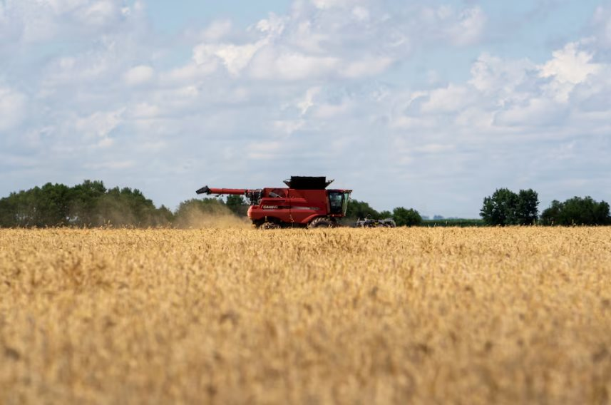 Sau 1 năm quay lưng, quốc gia BRICS nhập lại nông sản chủ chốt của Mỹ, thị trường thở phào nhẹ nhõm- Ảnh 1.