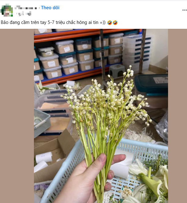 X&ocirc;n xao v&agrave;i c&agrave;nh hoa h&eacute;o gi&aacute; 7 triệu đồng: B&iacute; ẩn đằng sau lo&agrave;i hoa được nhiều sao Việt chọn l&agrave;m hoa cưới- Ảnh 1.