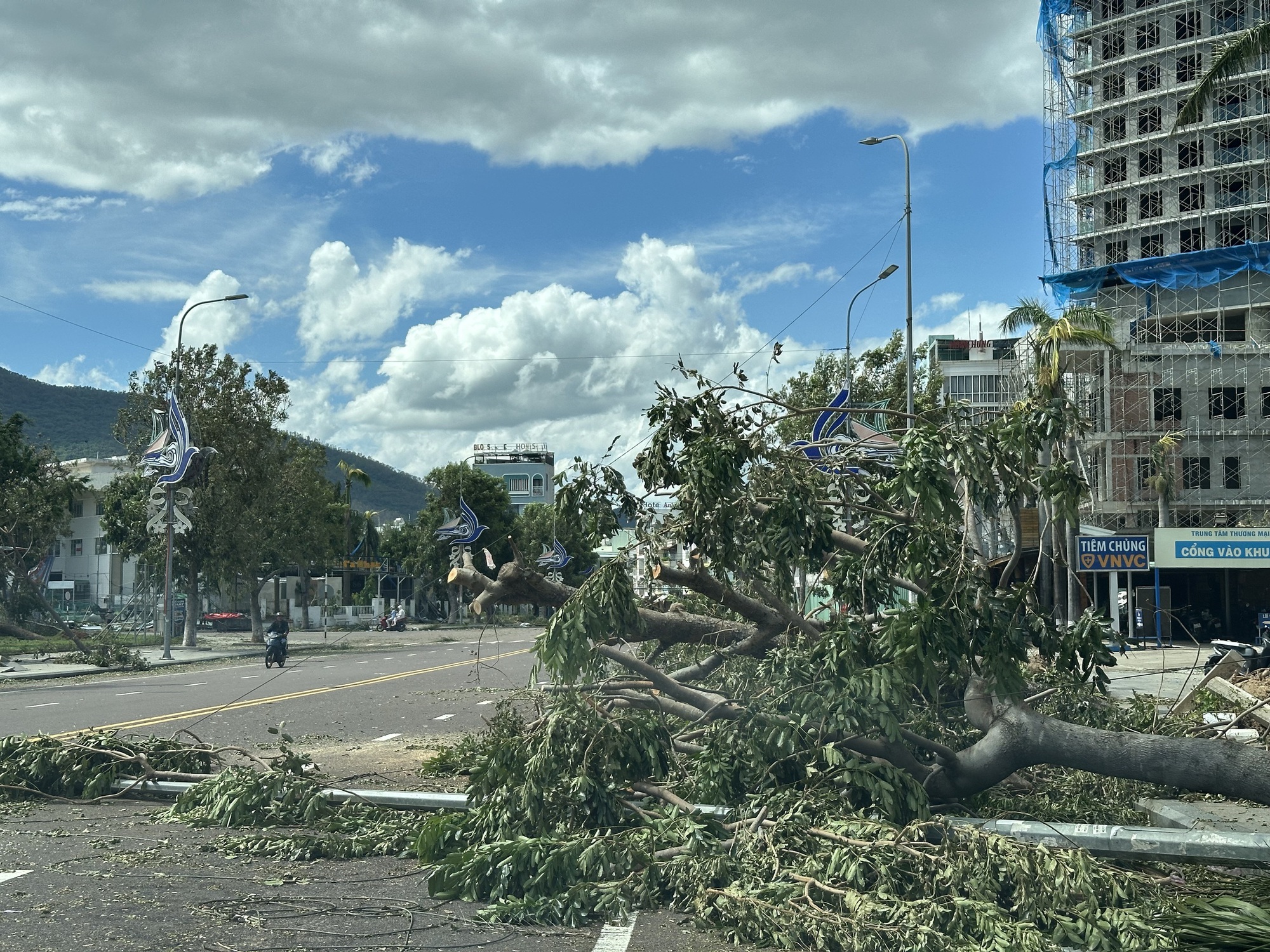 Cận cảnh Gia Lai tan hoang sau bão số 13- Ảnh 14. Cận cảnh Gia Lai tan hoang sau bão số 13- Ảnh 14.