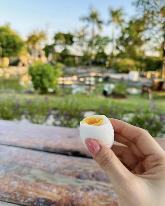 Hé lộ nhà riêng của Mỹ Tâm- Ảnh 12. Hé lộ nhà riêng của Mỹ Tâm- Ảnh 12.