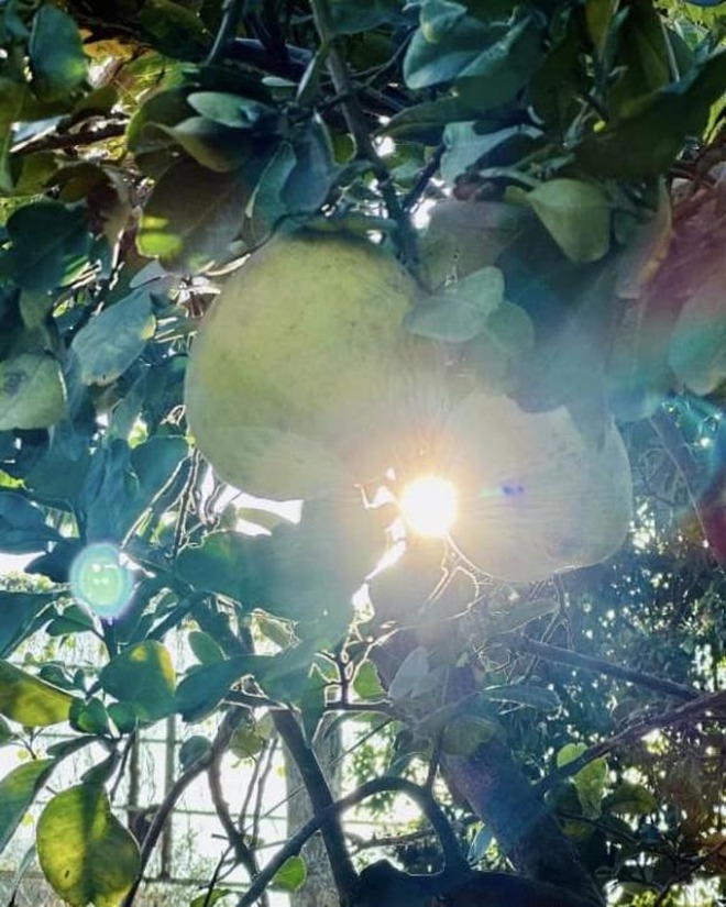 Hé lộ nhà riêng của Mỹ Tâm- Ảnh 13. Hé lộ nhà riêng của Mỹ Tâm- Ảnh 13.