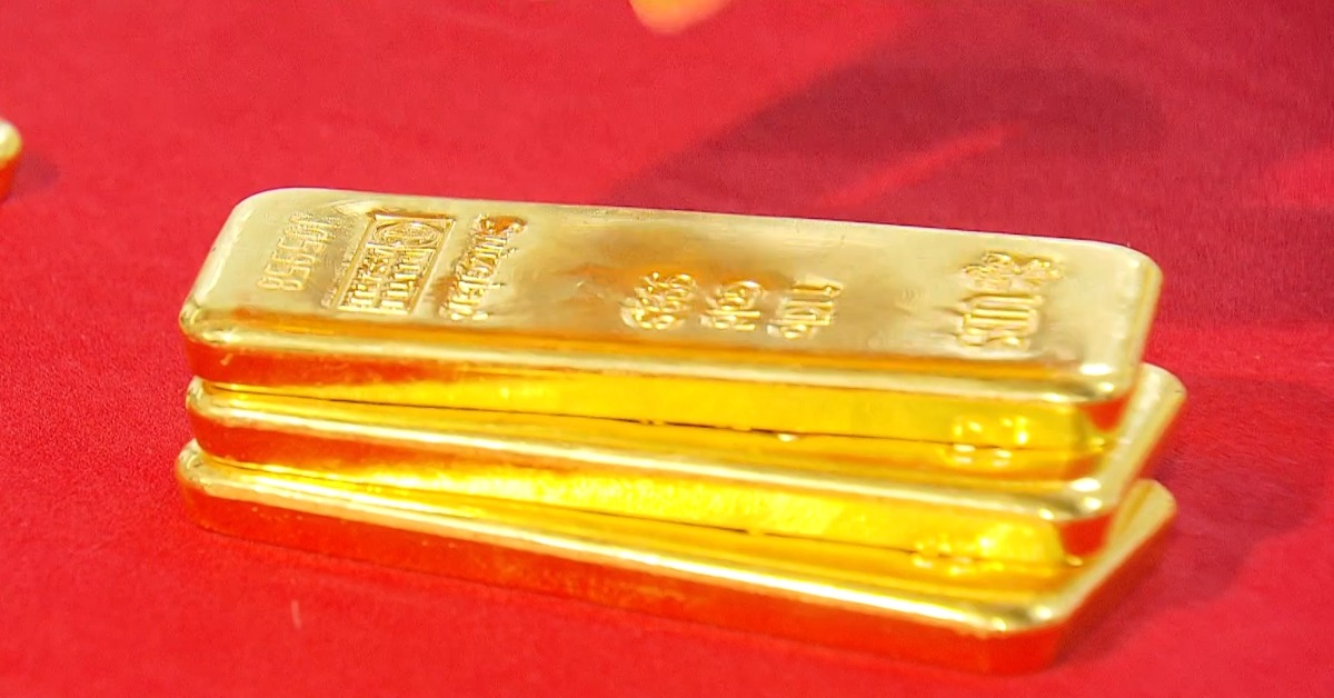 photo-1762501882583 photo-1762501882583