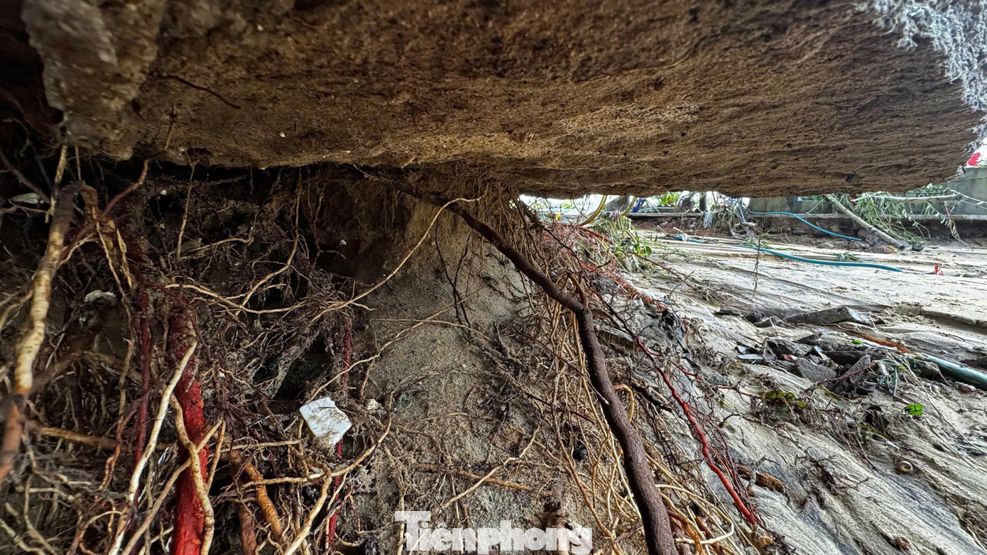 Bờ biển Quảng Ngãi tan hoang sau bão, người dân thất thần bên căn nhà chỉ còn vách tường nghiêng ngả- Ảnh 4.