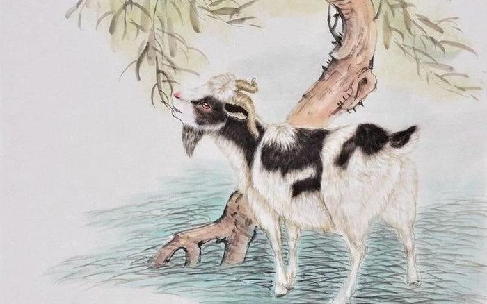 4 con gi&aacute;p sắp bước v&agrave;o thời kỳ may mắn vượt bậc, tiền bạc rủng rỉnh, sự nghiệp phất l&ecirc;n như diều gặp gi&oacute;- Ảnh 3.