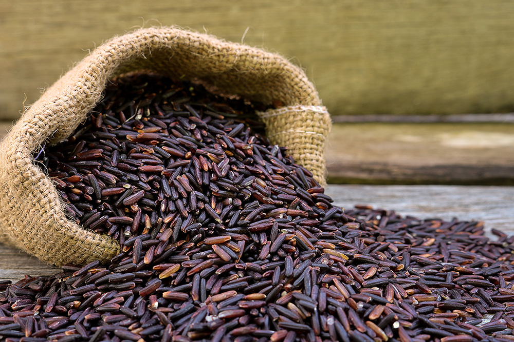 Loại gạo "quý" của người châu Á chống tiểu đường, cholesterol cực tốt- Ảnh 1. Loại gạo "quý" của người châu Á chống tiểu đường, cholesterol cực tốt- Ảnh 1.