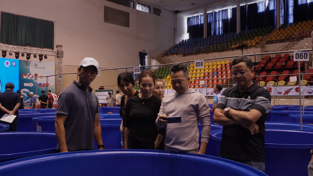 Chú cá Koi “bơi” từ Huế vào TP HCM giành ngôi vô địch- Ảnh 12.