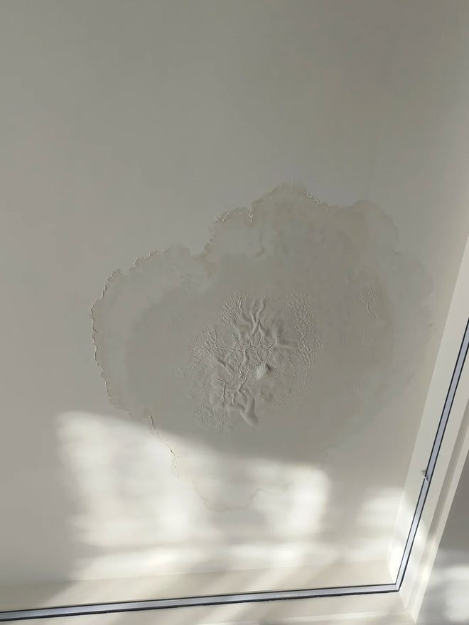 Mua nhà có sân thượng, tôi tưởng sẽ sống như quý cô - ai ngờ chỉ toàn dọn dẹp, tưới cây và lau bụi- Ảnh 2.