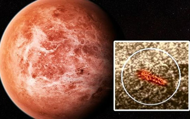 Nếu có sự sống trên Sao Kim: Những sinh vật tồn tại trong 'địa ngục mây axit' sẽ ra sao?- Ảnh 1.