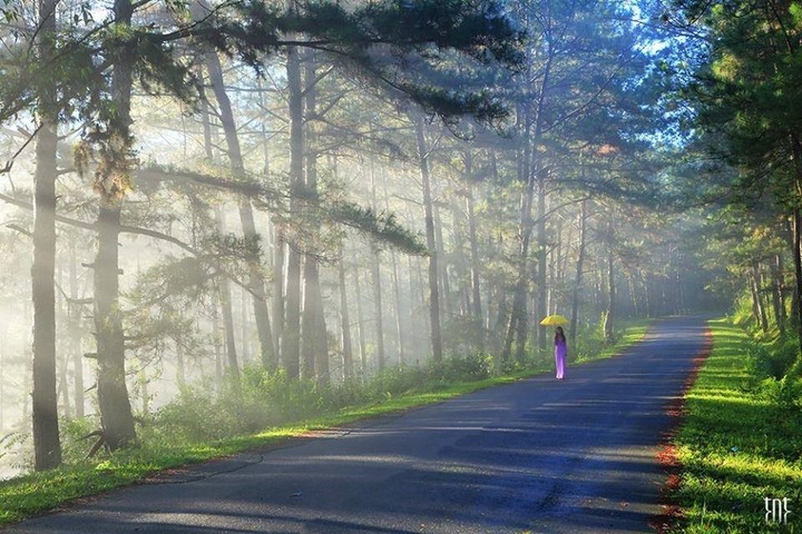 T&ecirc;n gọi Đ&agrave; Lạt c&oacute; &yacute; nghĩa g&igrave;?- Ảnh 1.