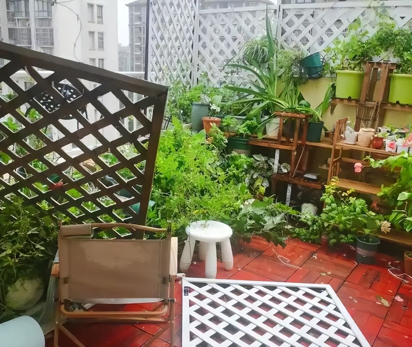 Mua nhà có sân thượng, tôi tưởng sẽ sống như quý cô - ai ngờ chỉ toàn dọn dẹp, tưới cây và lau bụi- Ảnh 1.