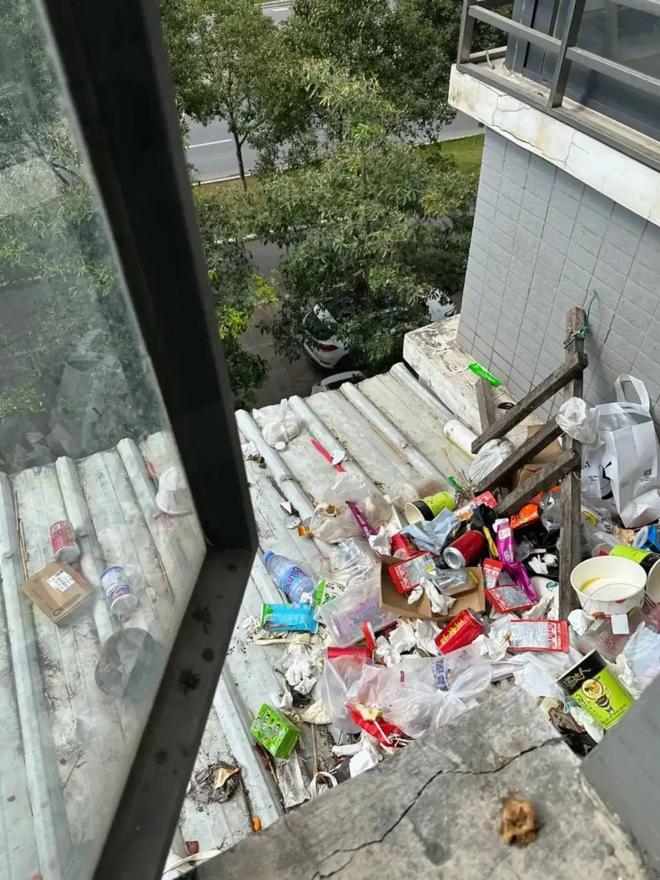 Mua nhà có sân thượng, tôi tưởng sẽ sống như quý cô - ai ngờ chỉ toàn dọn dẹp, tưới cây và lau bụi- Ảnh 3.