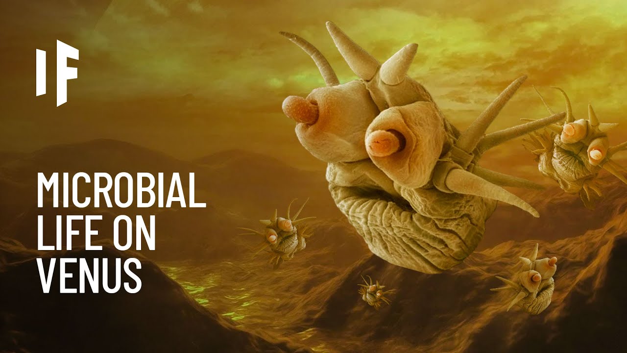 Nếu có sự sống trên Sao Kim: Những sinh vật tồn tại trong 'địa ngục mây axit' sẽ ra sao?- Ảnh 3.