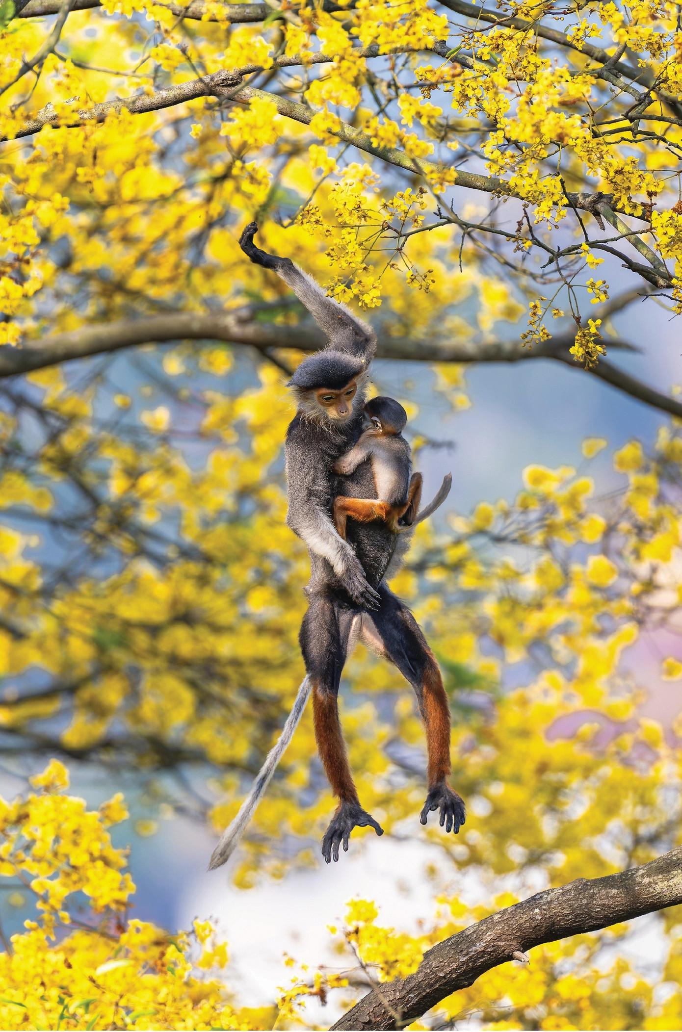 Rắn lục mắt hồng ngọc v&agrave; những ảnh thi&ecirc;n nhi&ecirc;n hoang d&atilde; đẹp m&ecirc; hồn- Ảnh 8.