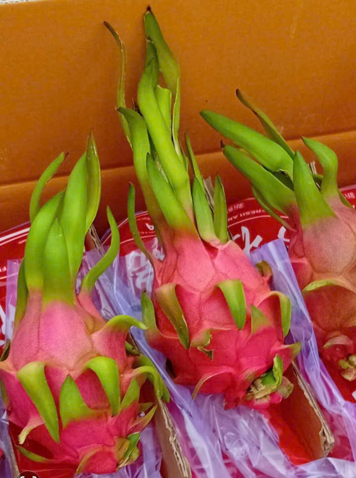 Nhiều tài xế container tố bị “bẫy” khi chở thanh long sang cửa khẩu- Ảnh 2.