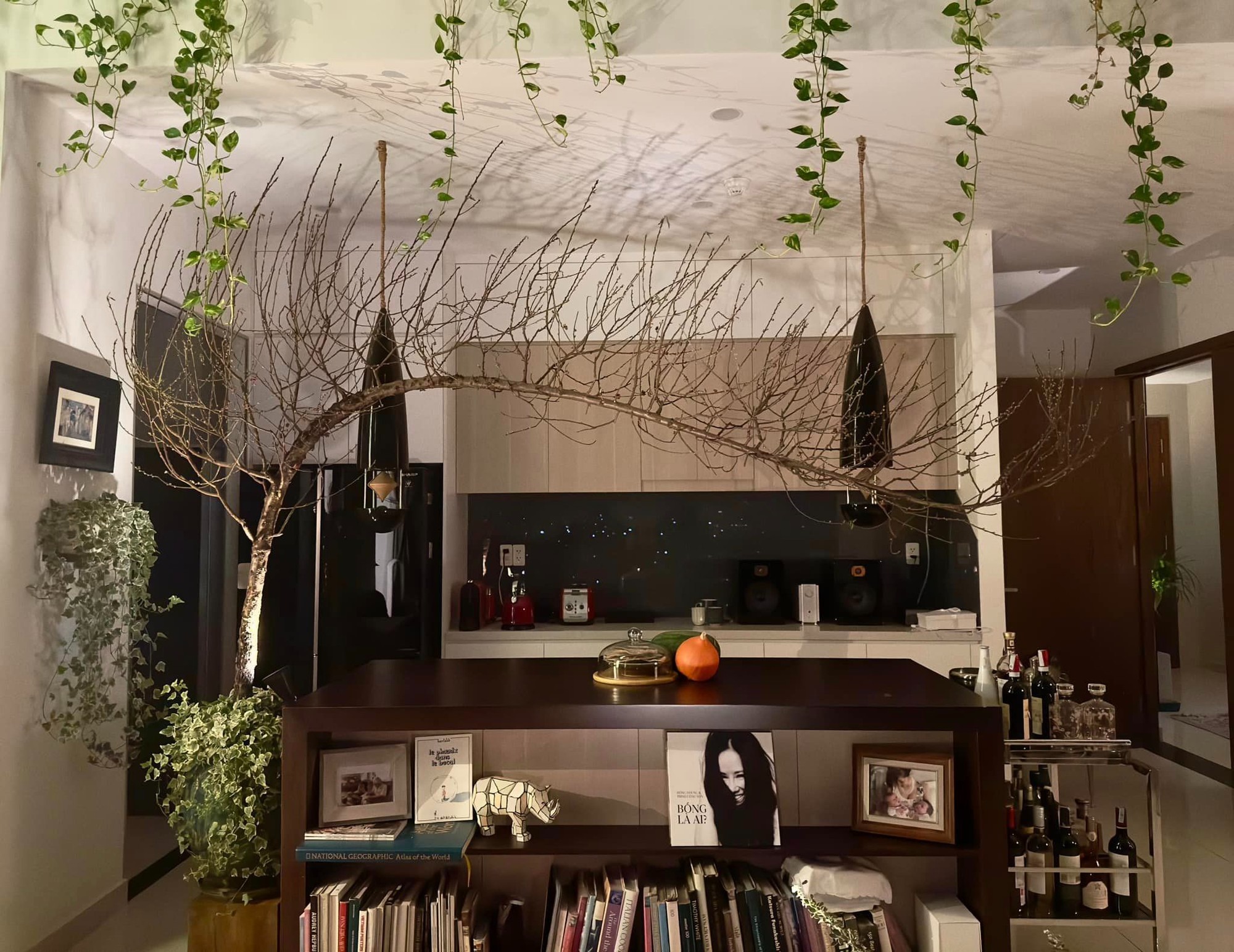 Penthouse của diva Hồng Nhung- Ảnh 11. Penthouse của diva Hồng Nhung- Ảnh 11.