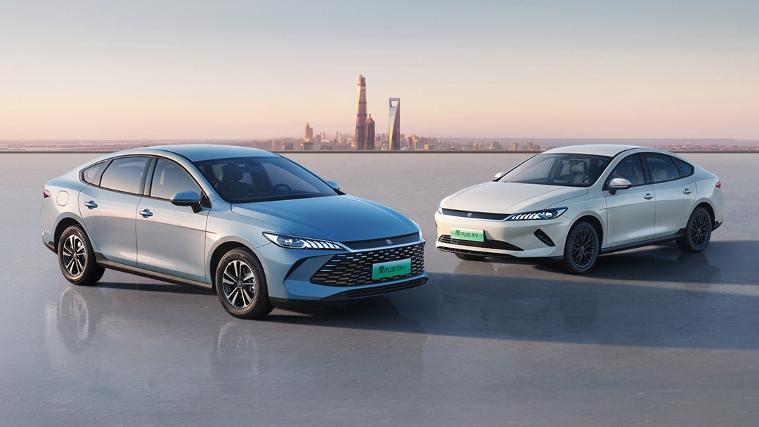 BYD triệu hồi gần 89.000 xe hybrid: Báo động về chất lượng pin trong bối cảnh doanh số lao dốc - Ảnh 3.