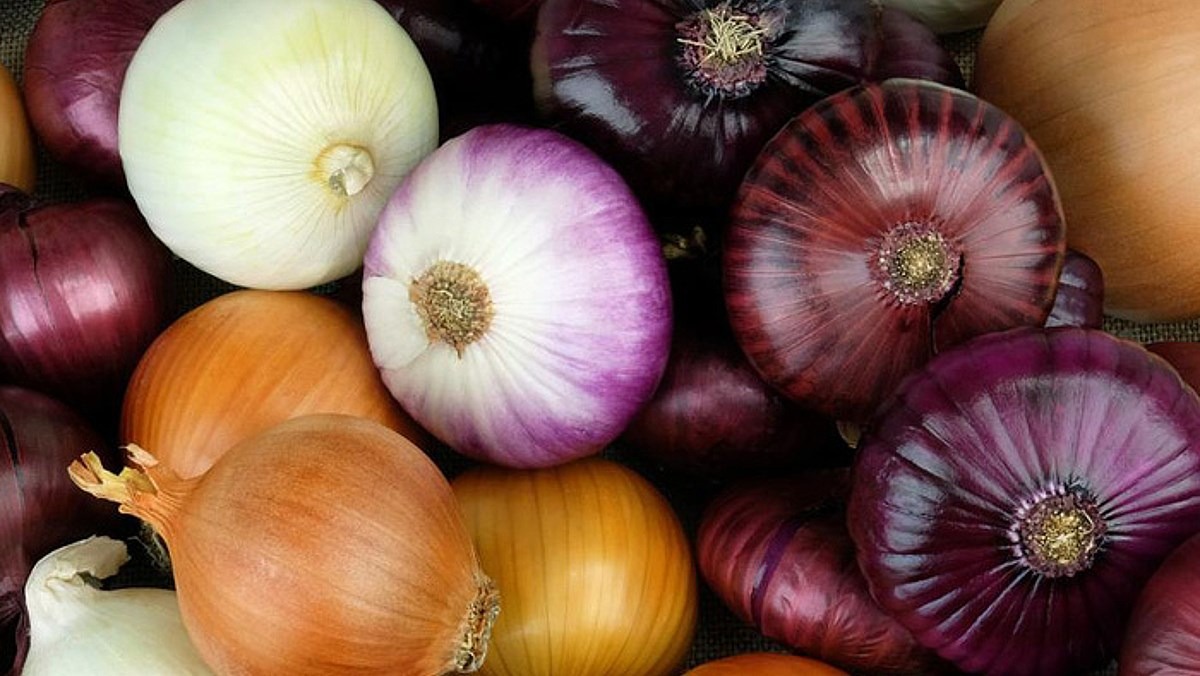 Hành tây có 4 công dụng thần kỳ, ai không biết thì rất thiệt- Ảnh 2.