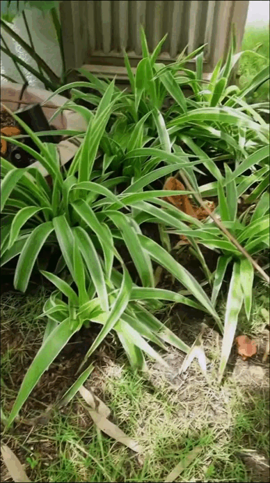 Penthouse của diva Hồng Nhung- Ảnh 6. Penthouse của diva Hồng Nhung- Ảnh 6.