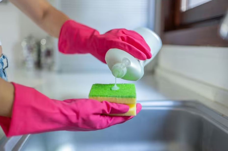 - Ảnh 1. - Ảnh 1.