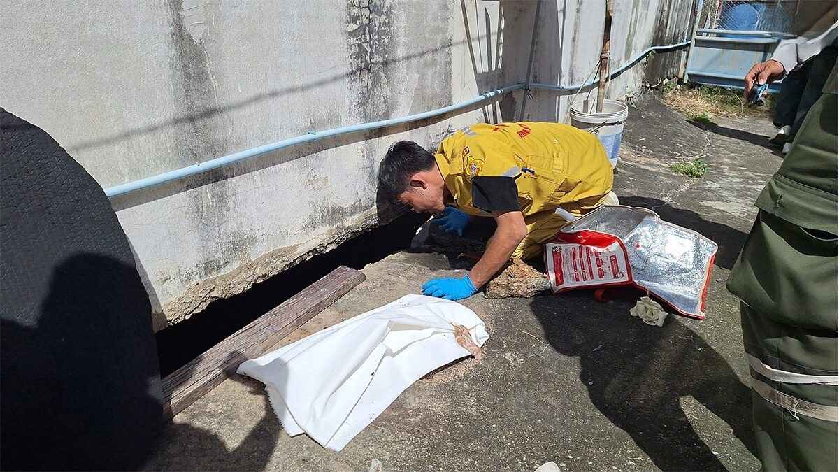 Thằn lằn - Ảnh 1.