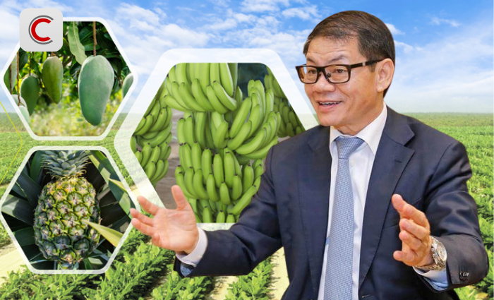Tỷ phú Trần Bá Dương kể về thương vụ bán chuối trong 10 năm cho "ông trùm" nông nghiệp Fresh Del Monte: Chúng tôi phải cam kết nếu chất lượng dưới 90% chuẩn sẽ bị phạt 1 USD mỗi thùng (13 kg) - Ảnh 1.
